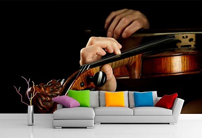 Fototapeta Violin Player 50