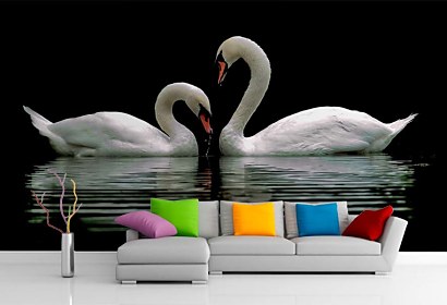 vinylové tapety - swans