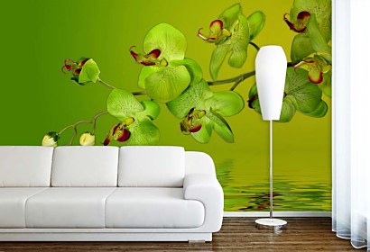 zelná orchidea - fototapety na stenu