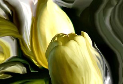 Fototapeta - Pekné tulipány 94