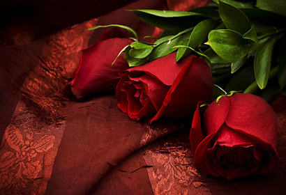 Fototapeta Zátišie s ružami 92