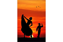 Fototapeta - Flamenco Dancer 6436