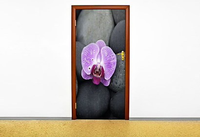 Fototapeta Orchidea na kameni 6856  