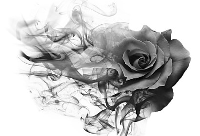 Fototapeta Smoke rose black 209893237