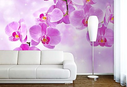 tapety s ružovými orchideami