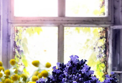 fototapety vintage lavender