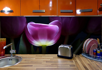 Fototapeta zástena - Purpurový tulipán 3139