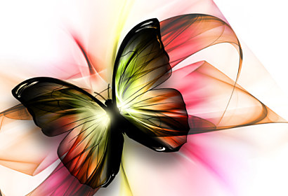 Fototapeta na zástenu - Farebný motýľ 24222