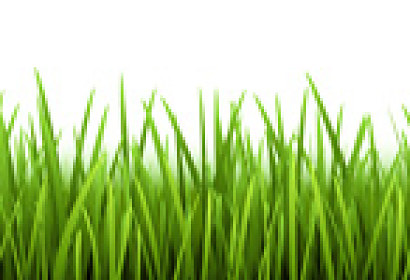 Panoramatická zástena - Zelená tráva 28030