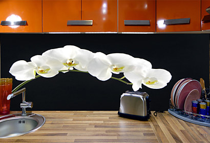 Fototapeta na kuchynsku linku - Biela orchidea 18547