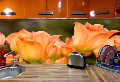 Fototapeta zástena - Holandské tulipány 5418