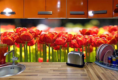 Fototapeta  - Panoramatické červené tulipány 28207