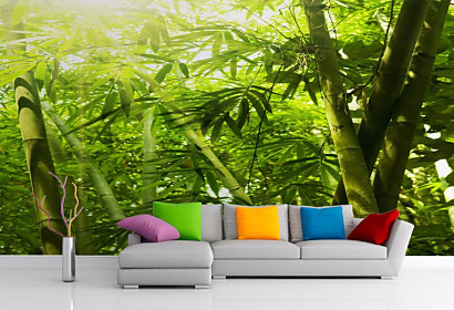 Tapeta Tropical Bamboo 29127