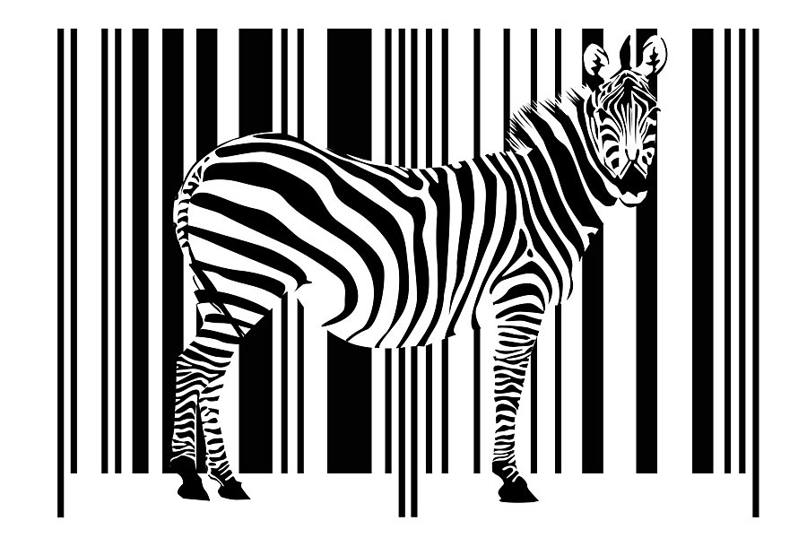 Fototapeta Čiernobiela - Zebra 3181