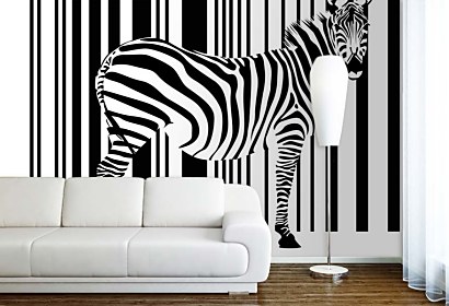 zebra čiernobiela - fototapeta vliesová